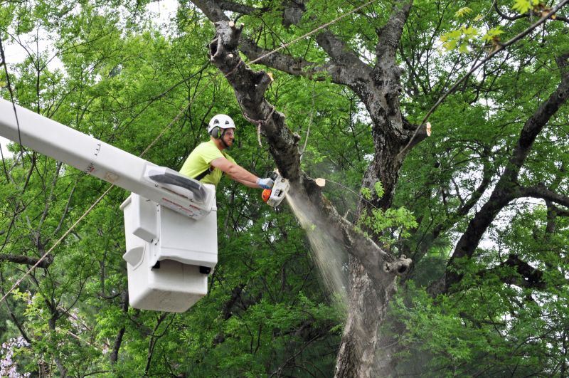 Control Tree Size