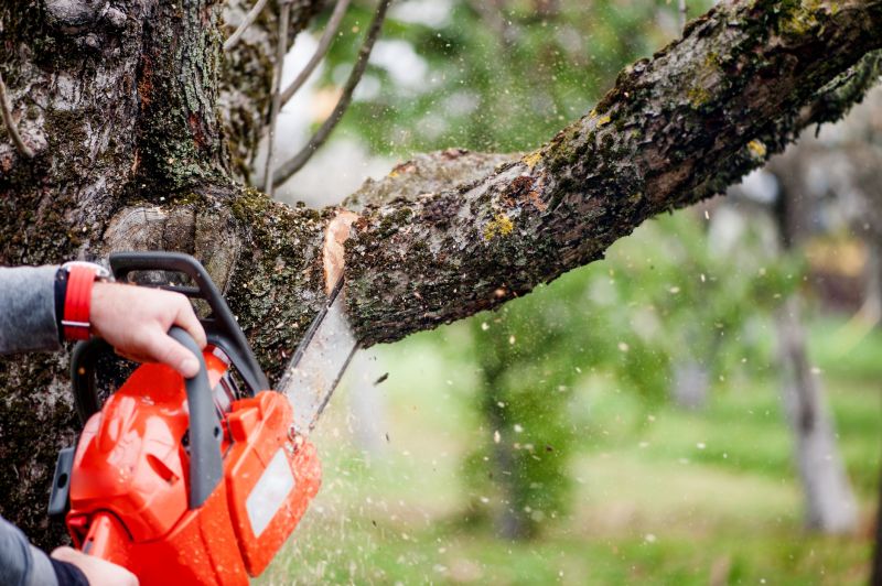 Tree Lopping