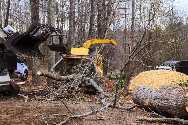 Dead Tree Removal in Montgomery County, PA