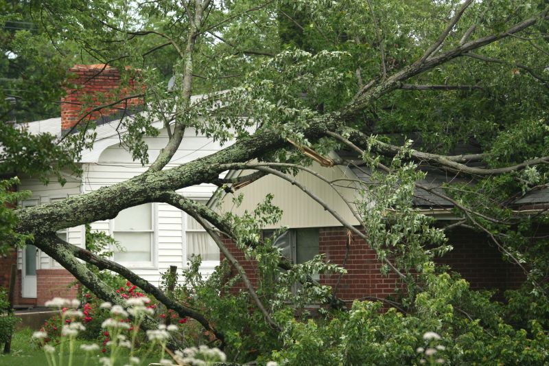 Storm Damage Tree Clearing