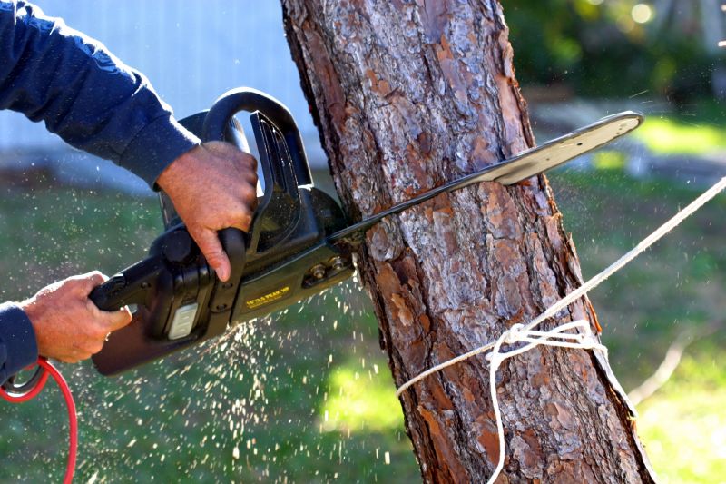 Tree Cutting and Limb Removal