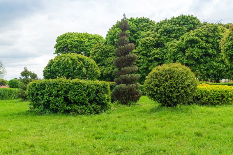 Landscape Pruning Service in Aiken, SC